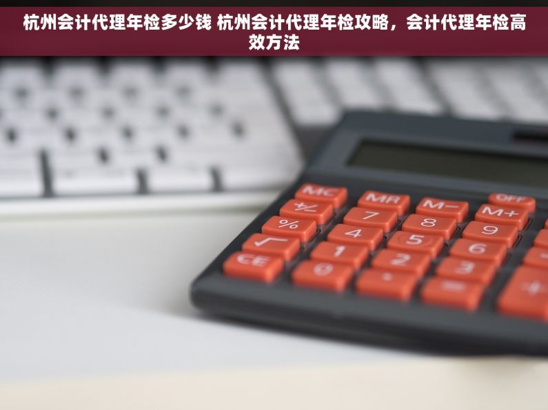 杭州会计代理年检多少钱 杭州会计代理年检攻略，会计代理年检高效方法