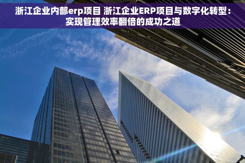 浙江企业内部erp项目 浙江企业ERP项目与数字化转型：实现管理效率翻倍的成功之道