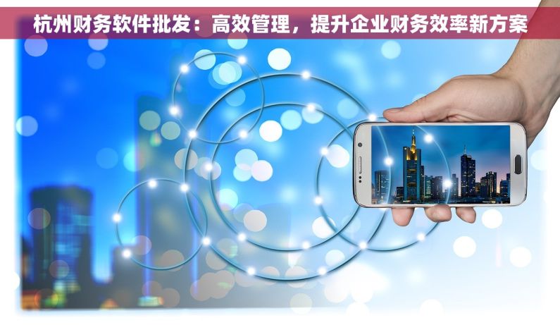 杭州财务软件批发：高效管理，提升企业财务效率新方案
