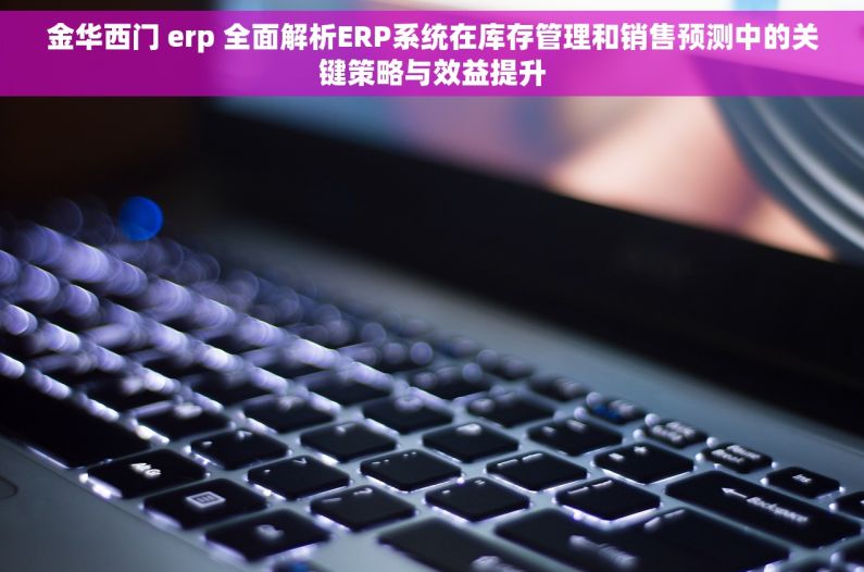 金华西门 erp 全面解析ERP系统在库存管理和销售预测中的关键策略与效益提升