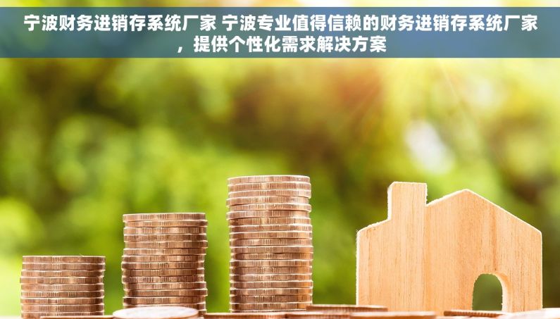 宁波财务进销存系统厂家 宁波专业值得信赖的财务进销存系统厂家，提供个性化需求解决方案