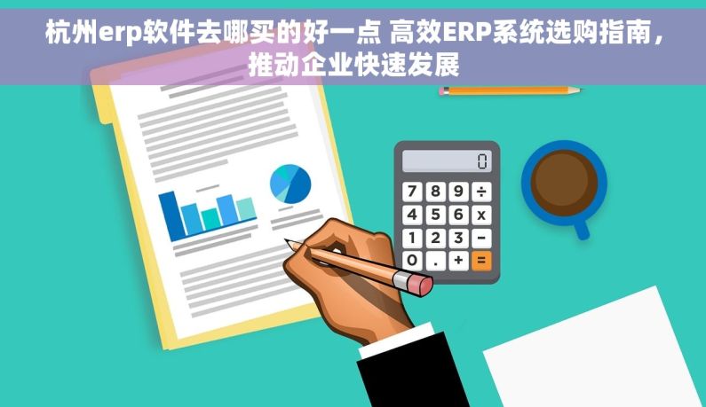 杭州erp软件去哪买的好一点 高效ERP系统选购指南，推动企业快速发展