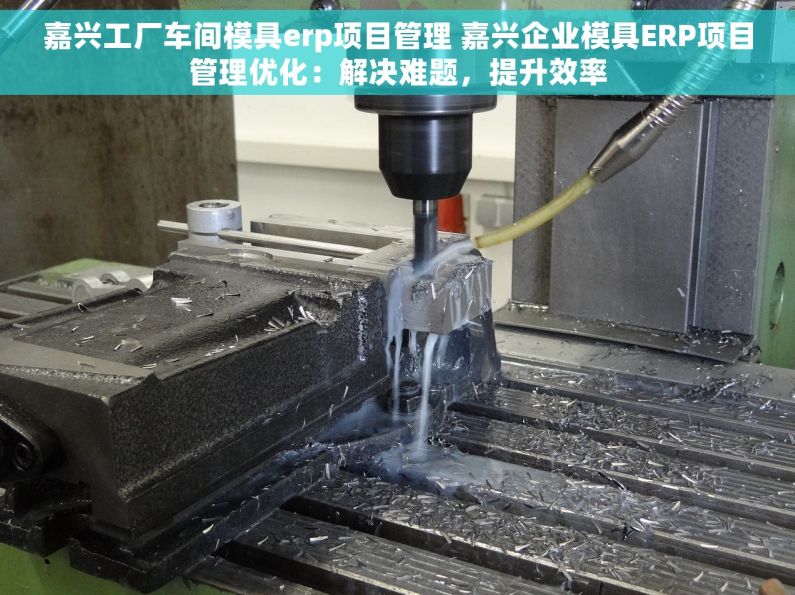 嘉兴工厂车间模具erp项目管理 嘉兴企业模具ERP项目管理优化：解决难题，提升效率