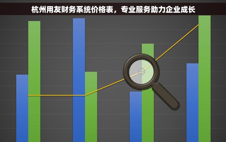 杭州用友财务系统价格表，专业服务助力企业成长