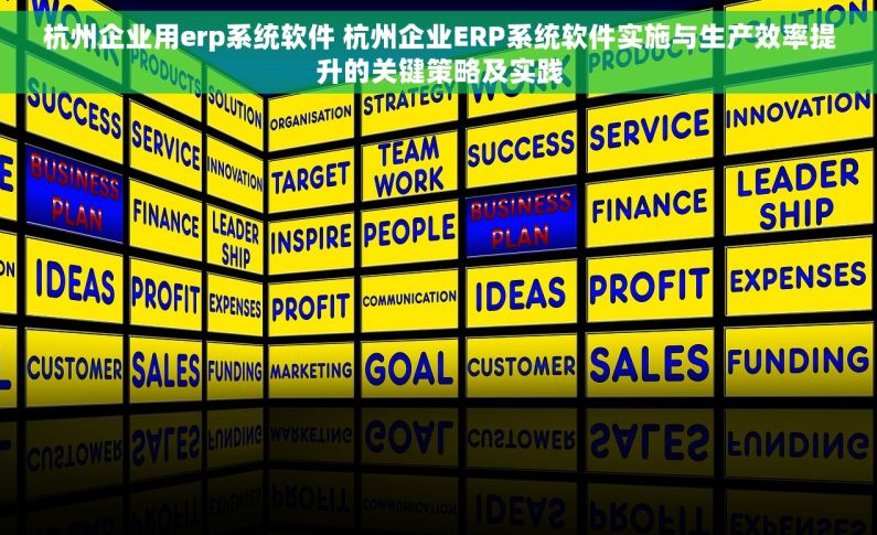 杭州企业用erp系统软件 杭州企业ERP系统软件实施与生产效率提升的关键策略及实践