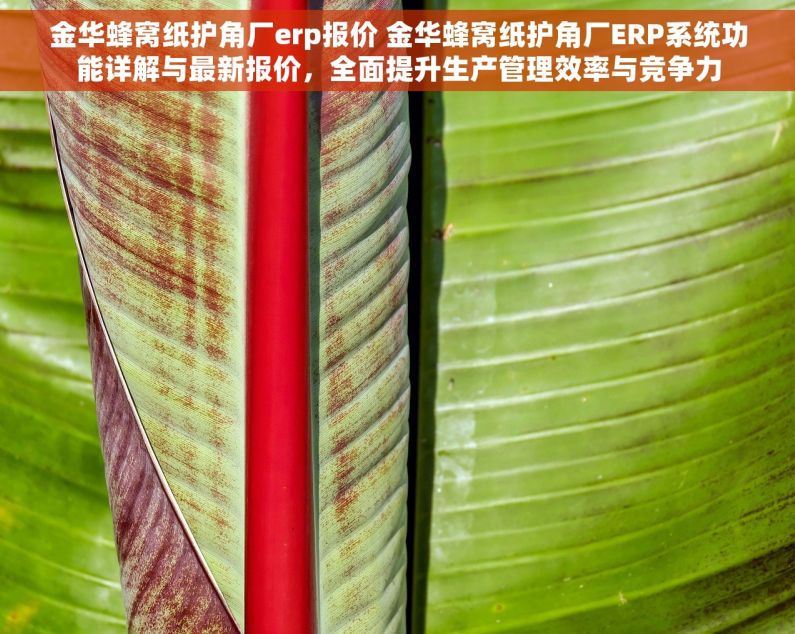 金华蜂窝纸护角厂erp报价 金华蜂窝纸护角厂ERP系统功能详解与最新报价，全面提升生产管理效率与竞争力