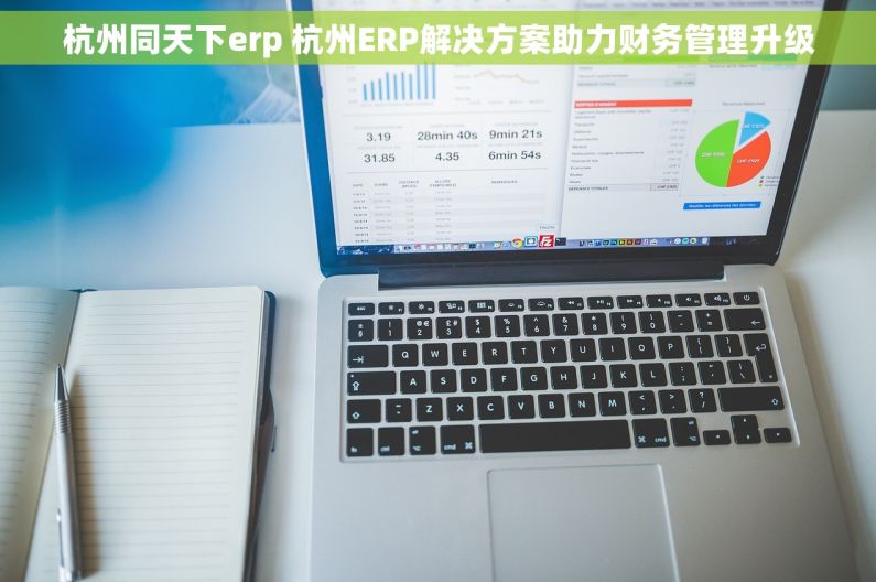 杭州同天下erp 杭州ERP解决方案助力财务管理升级