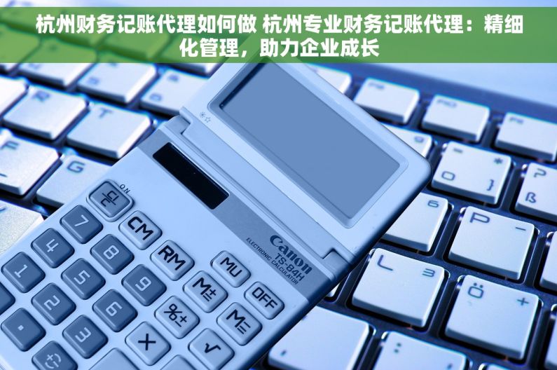 杭州财务记账代理如何做 杭州专业财务记账代理：精细化管理，助力企业成长
