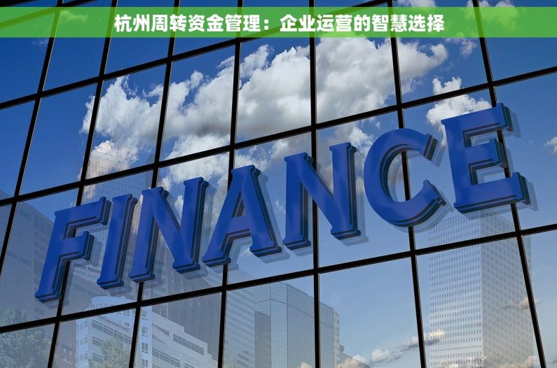 杭州周转资金管理：企业运营的智慧选择