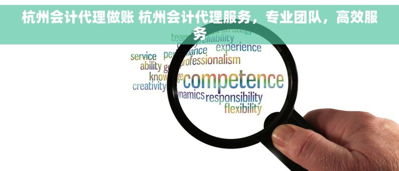杭州会计代理做账 杭州会计代理服务，专业团队，高效服务