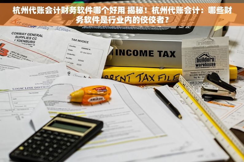 杭州代账会计财务软件哪个好用 揭秘！杭州代账会计：哪些财务软件是行业内的佼佼者？