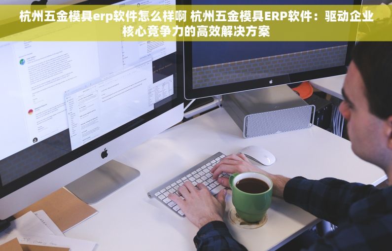 杭州五金模具erp软件怎么样啊 杭州五金模具ERP软件：驱动企业核心竞争力的高效解决方案