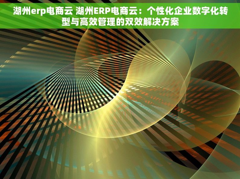 湖州erp电商云 湖州ERP电商云：个性化企业数字化转型与高效管理的双效解决方案
