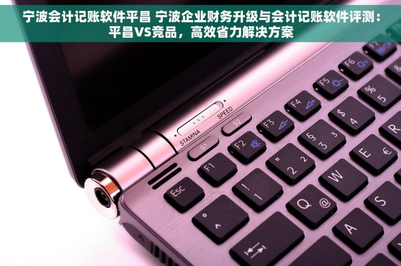宁波会计记账软件平昌 宁波企业财务升级与会计记账软件评测：平昌VS竞品，高效省力解决方案