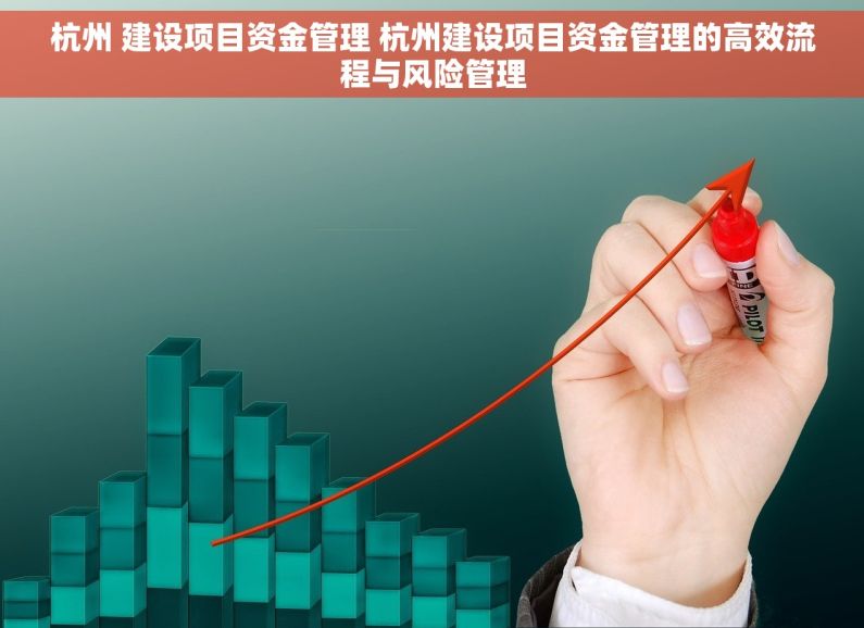杭州 建设项目资金管理 杭州建设项目资金管理的高效流程与风险管理