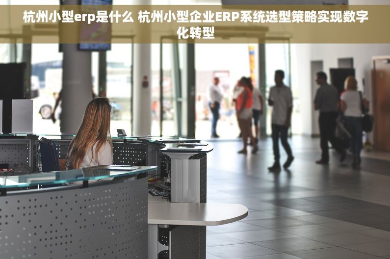 杭州小型erp是什么 杭州小型企业ERP系统选型策略实现数字化转型