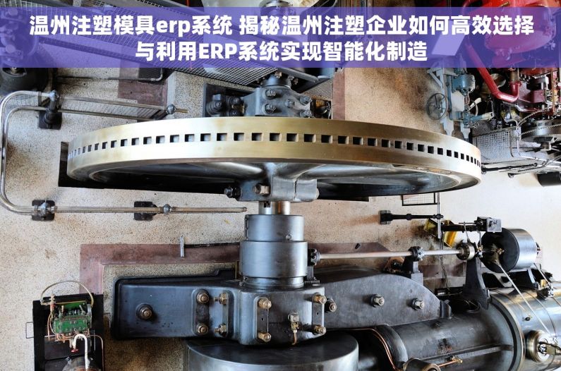 温州注塑模具erp系统 揭秘温州注塑企业如何高效选择与利用ERP系统实现智能化制造