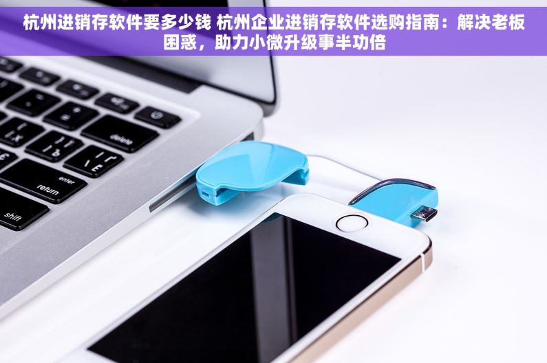 杭州进销存软件要多少钱 杭州企业进销存软件选购指南：解决老板困惑，助力小微升级事半功倍