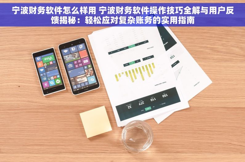 宁波财务软件怎么样用 宁波财务软件操作技巧全解与用户反馈揭秘：轻松应对复杂账务的实用指南