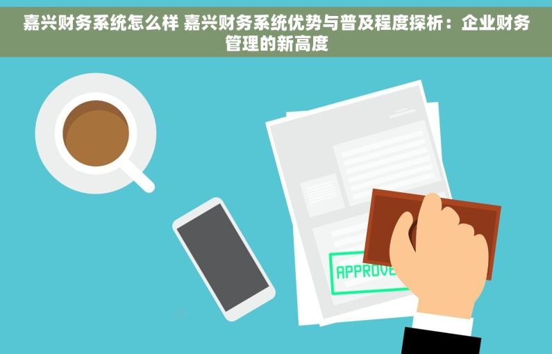 嘉兴财务系统怎么样 嘉兴财务系统优势与普及程度探析：企业财务管理的新高度