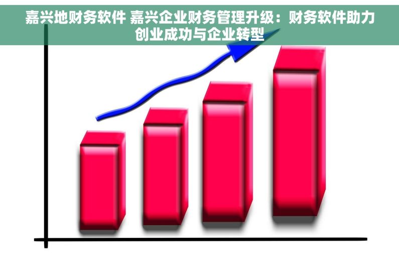 嘉兴地财务软件 嘉兴企业财务管理升级：财务软件助力创业成功与企业转型