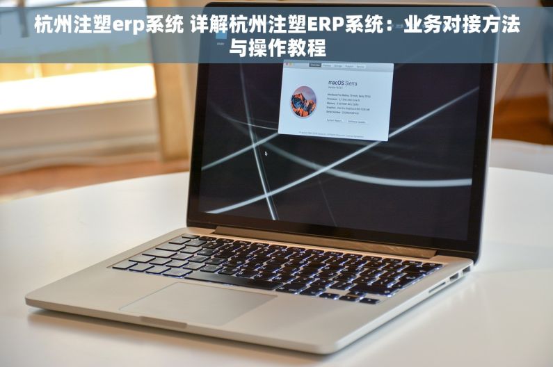 杭州注塑erp系统 详解杭州注塑ERP系统：业务对接方法与操作教程