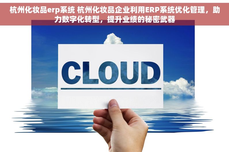杭州化妆品erp系统 杭州化妆品企业利用ERP系统优化管理，助力数字化转型，提升业绩的秘密武器