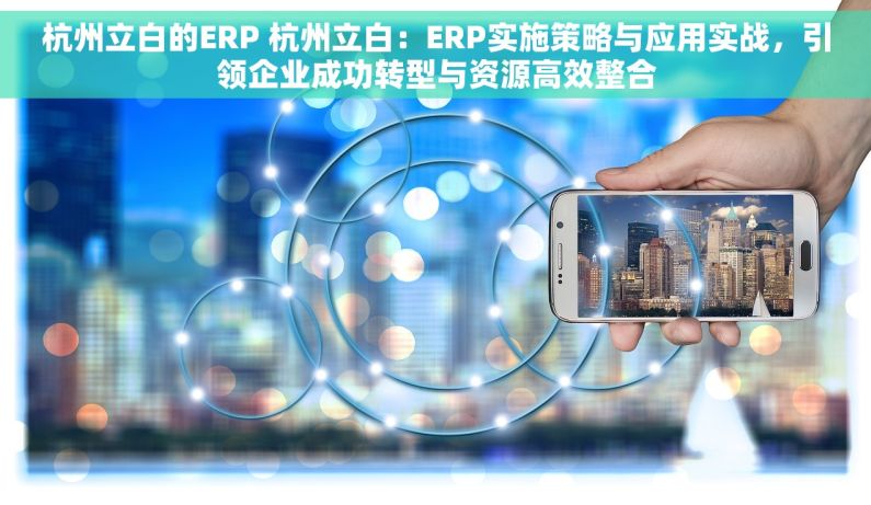 杭州立白的ERP 杭州立白：ERP实施策略与应用实战，引领企业成功转型与资源高效整合
