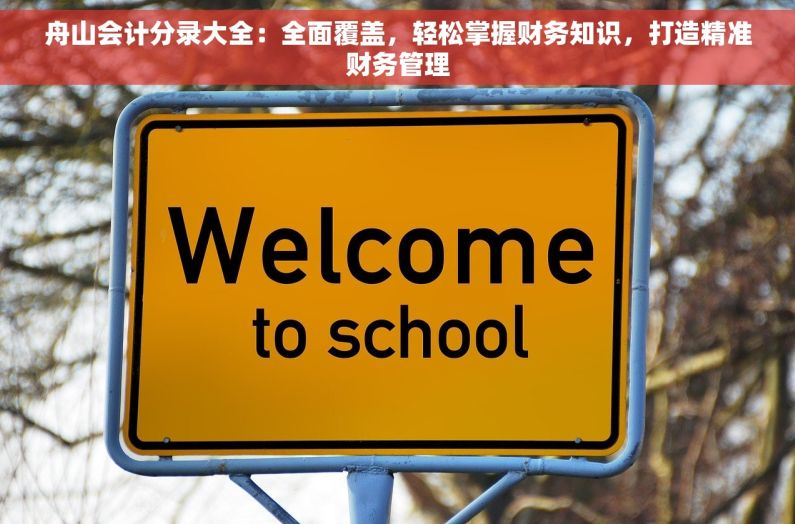 舟山会计分录大全：全面覆盖，轻松掌握财务知识，打造精准财务管理