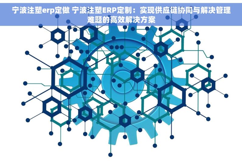 宁波注塑erp定做 宁波注塑ERP定制：实现供应链协同与解决管理难题的高效解决方案
