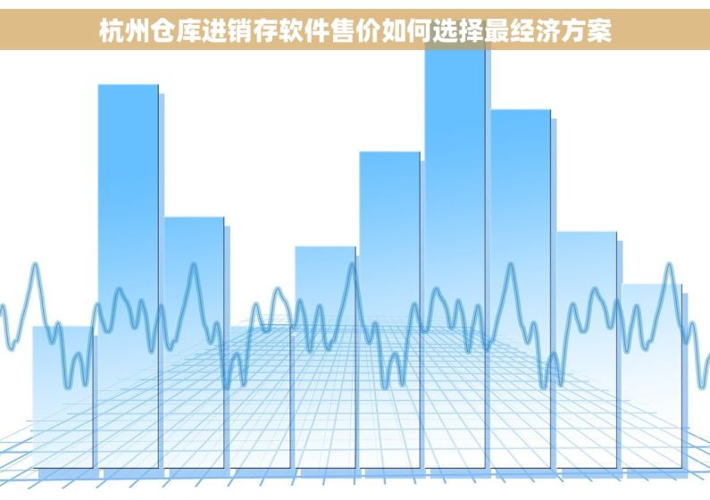 杭州仓库进销存软件售价如何选择最经济方案