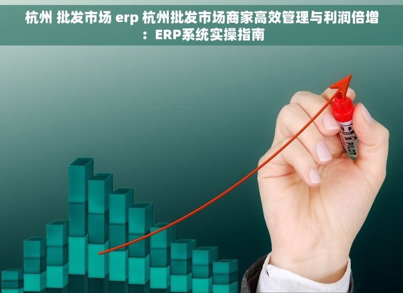 杭州 批发市场 erp 杭州批发市场商家高效管理与利润倍增：ERP系统实操指南