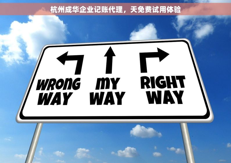 杭州成华企业记账代理，天免费试用体验
