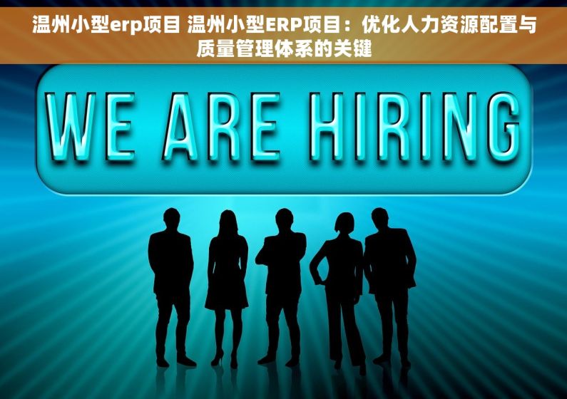 温州小型erp项目 温州小型ERP项目：优化人力资源配置与质量管理体系的关键