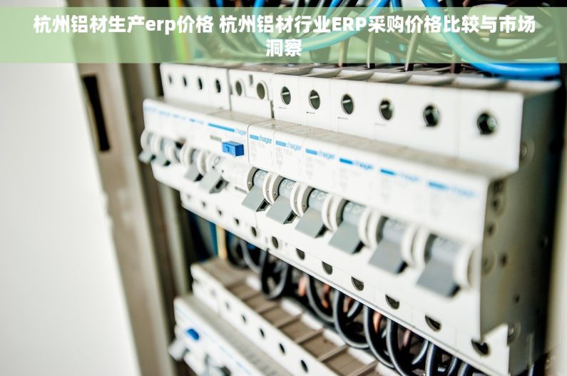 杭州铝材生产erp价格 杭州铝材行业ERP采购价格比较与市场洞察