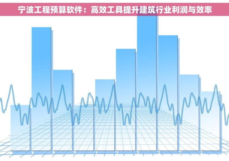宁波工程预算软件：高效工具提升建筑行业利润与效率