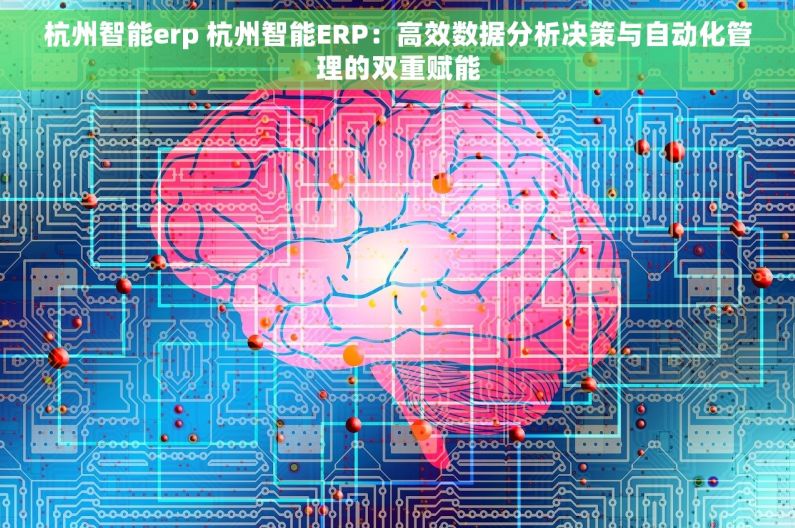 杭州智能erp 杭州智能ERP：高效数据分析决策与自动化管理的双重赋能