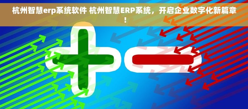 杭州智慧erp系统软件 杭州智慧ERP系统，开启企业数字化新篇章！