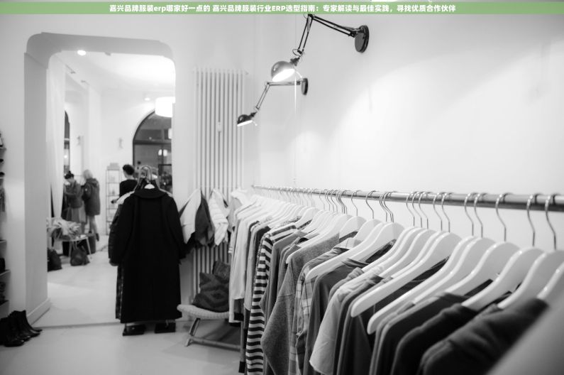 嘉兴品牌服装erp哪家好一点的 嘉兴品牌服装行业ERP选型指南：专家解读与最佳实践，寻找优质合作伙伴
