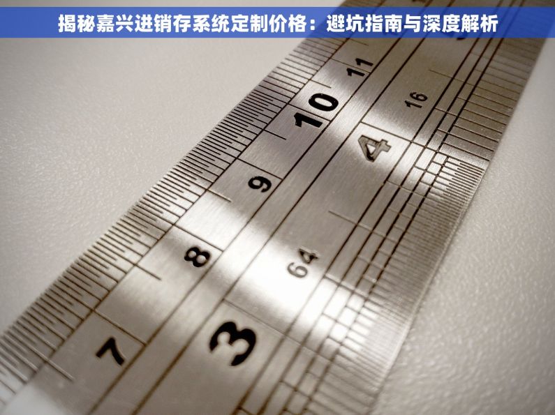 揭秘嘉兴进销存系统定制价格：避坑指南与深度解析