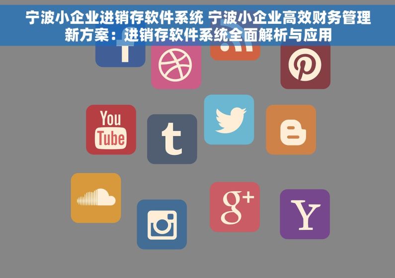 宁波小企业进销存软件系统 宁波小企业高效财务管理新方案：进销存软件系统全面解析与应用