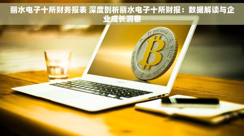 丽水电子十所财务报表 深度剖析丽水电子十所财报：数据解读与企业成长洞察