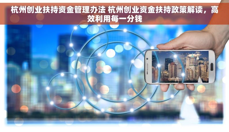 杭州创业扶持资金管理办法 杭州创业资金扶持政策解读，高效利用每一分钱