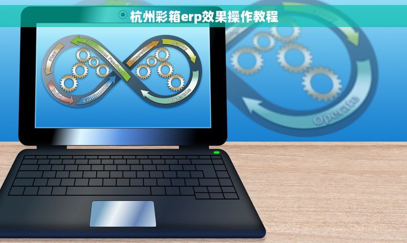 杭州彩箱erp效果操作教程