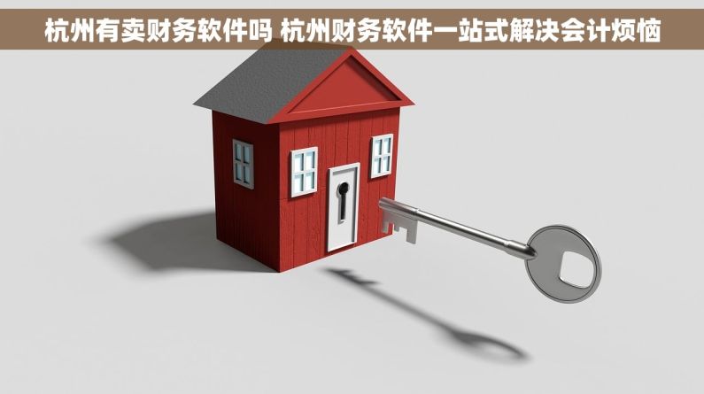 杭州有卖财务软件吗 杭州财务软件一站式解决会计烦恼