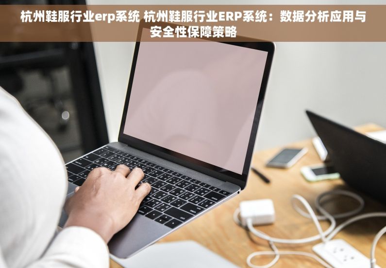 杭州鞋服行业erp系统 杭州鞋服行业ERP系统：数据分析应用与安全性保障策略