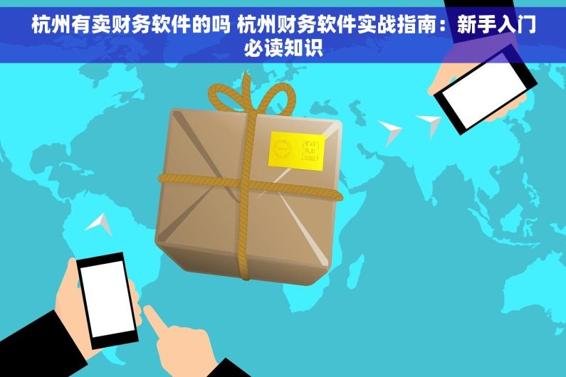 杭州有卖财务软件的吗 杭州财务软件实战指南：新手入门必读知识