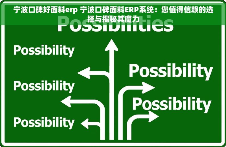 宁波口碑好面料erp 宁波口碑面料ERP系统：您值得信赖的选择与揭秘其魔力