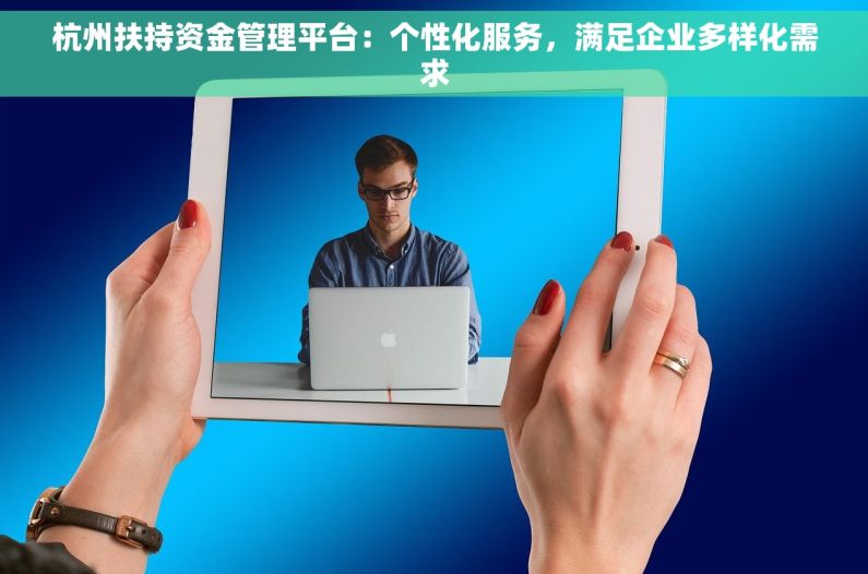 杭州扶持资金管理平台：个性化服务，满足企业多样化需求