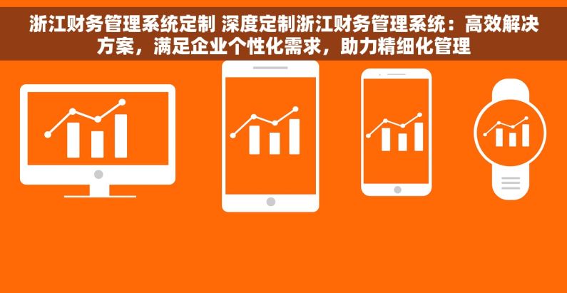 浙江财务管理系统定制 深度定制浙江财务管理系统：高效解决方案，满足企业个性化需求，助力精细化管理
